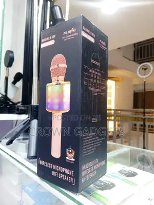 Ws-858l 3-in-1 Karaoke Mic Echo Speaker Party Microphone