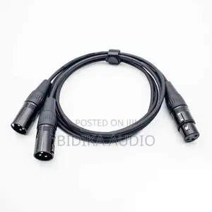 1 Female to 2 Male (Splitter) Y Cable