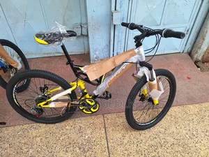Reset Bicycle Size 24 With Shocks.