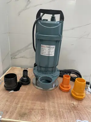 Premier Brushless Dc Solar Pump 72v 1100w 20m Head