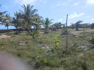 Beach Plot