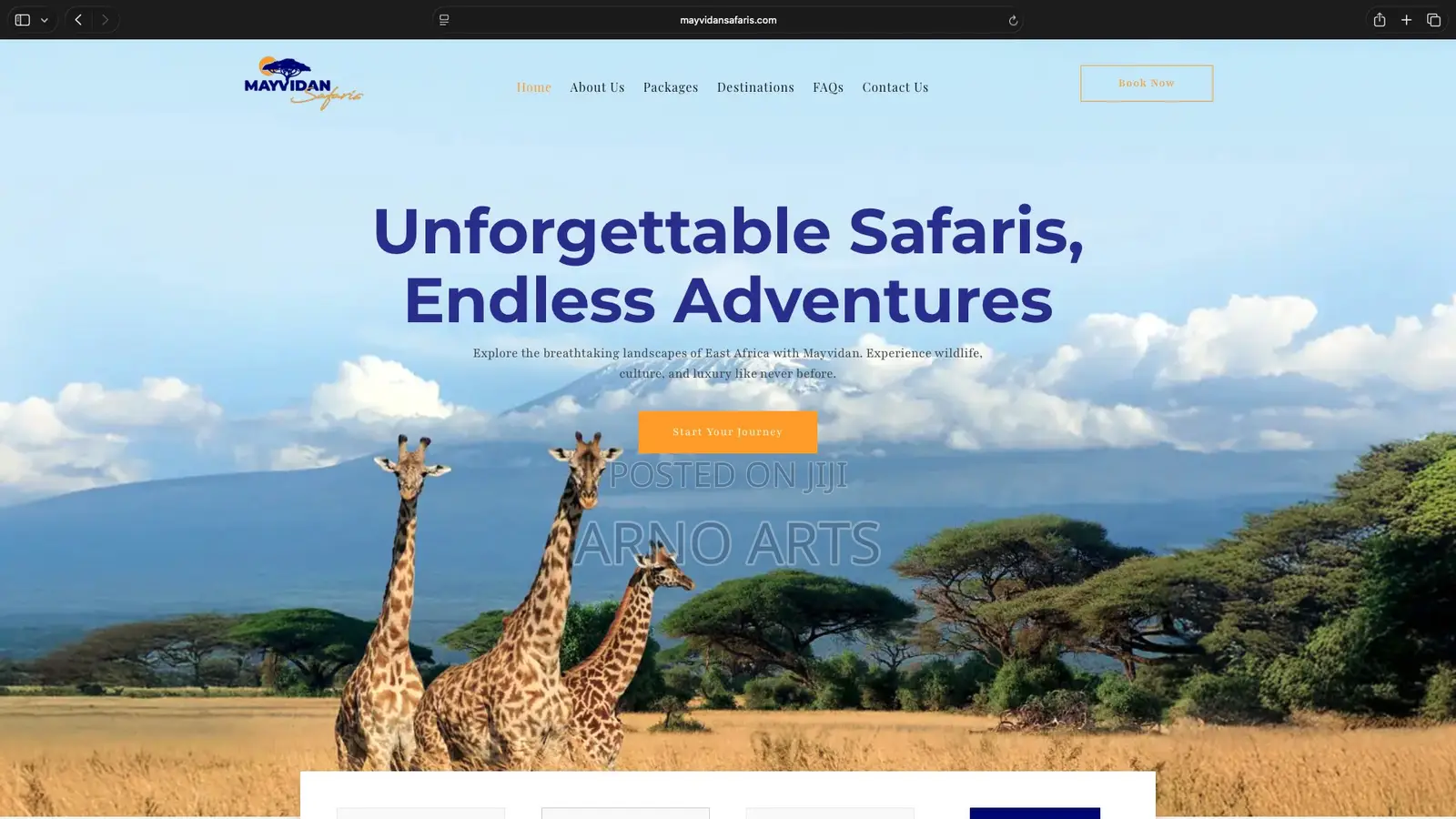 Professional Website Design Services
