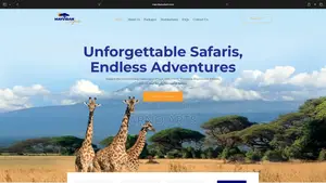 Professional Website Design Services