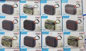Wster Ws-336 Wireless Bluetooth Speaker: Super Bass, Fm Radio, Usb/Tf