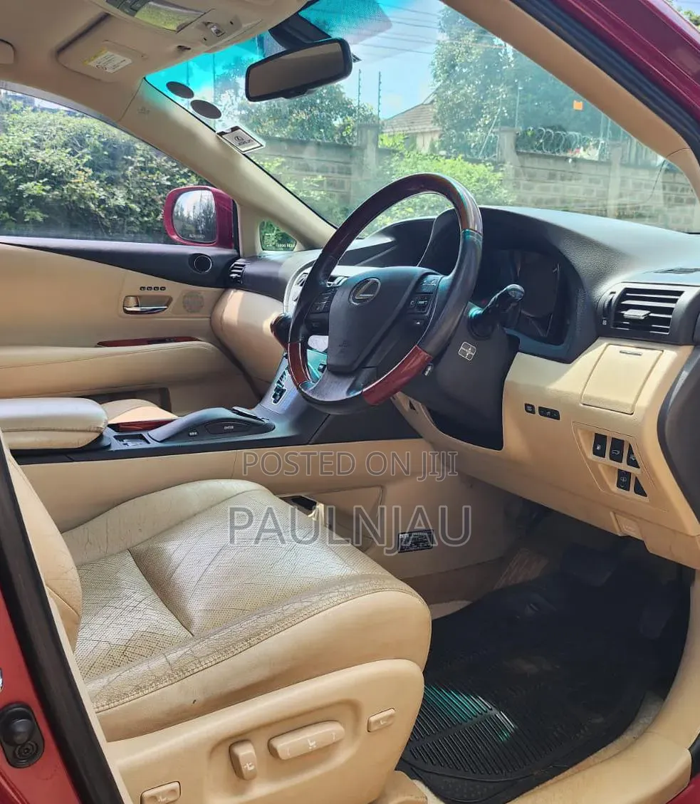 Lexus RX 2010
