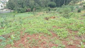 Land for Sale One Acre