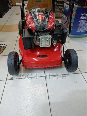 196 Cc Petrol Engine Walk Behide Lawn Mower/Quality Walk Behide Mower
