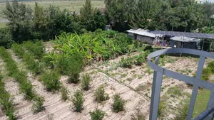 1 Acre for Sale in Chuna Estate, Kitengela