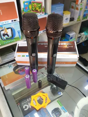 Wireless Microphone System