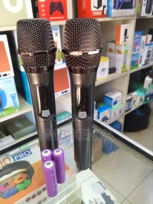 Professional Dual Wireless Microphone