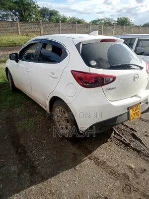 Car Hire Services