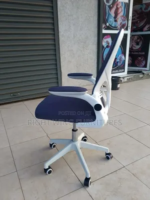 Premium Advanced Office Chair (Folding Hand)