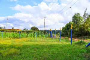 Residential Plots for Sale in Kamangu