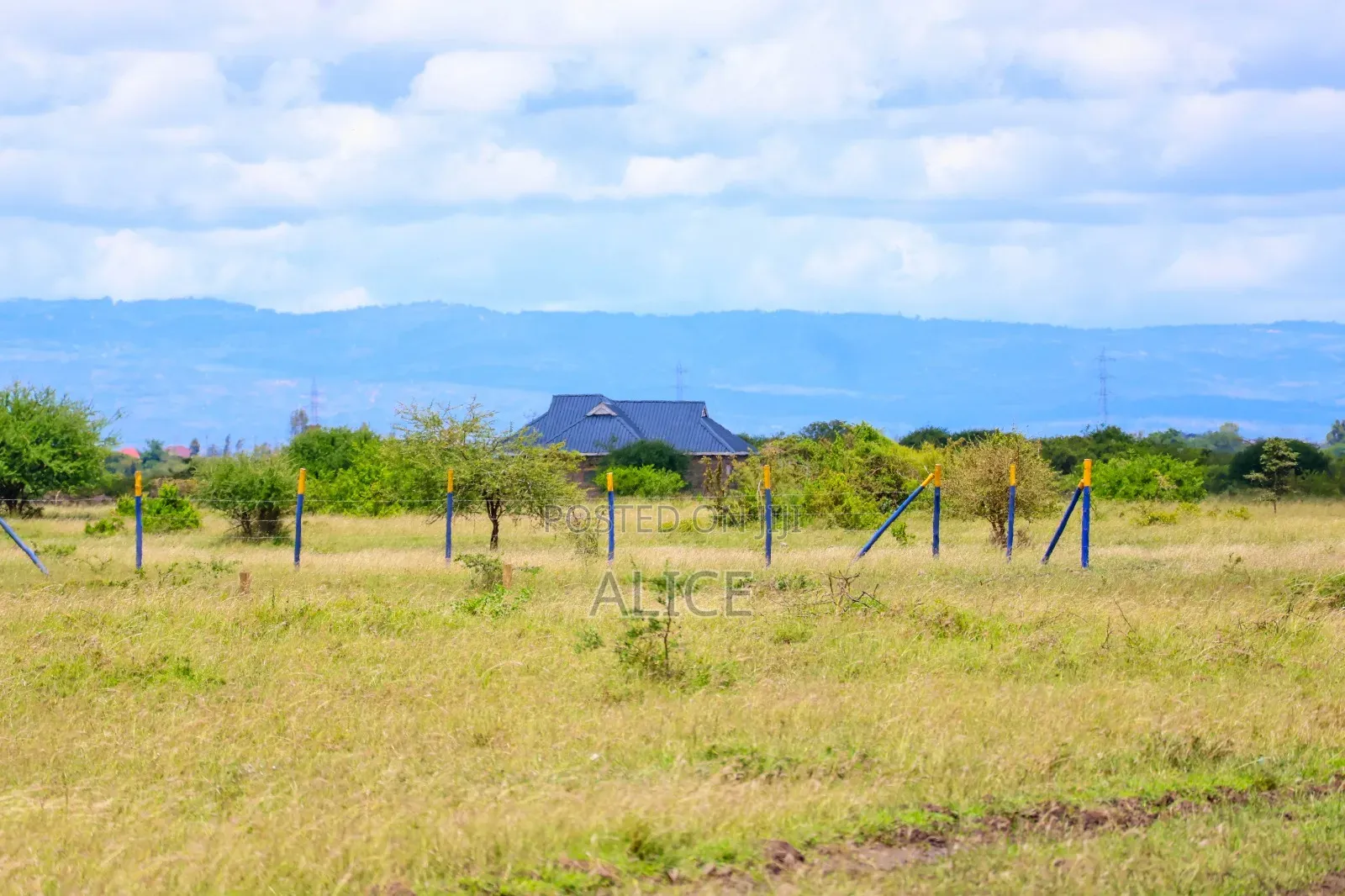Muthaara Plots
