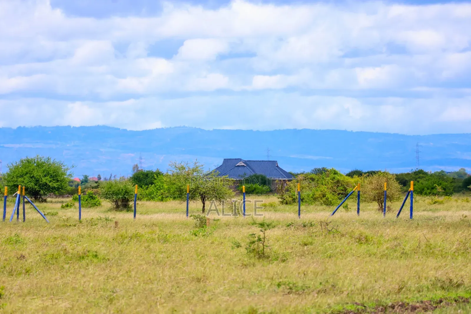 Muthaara Plots
