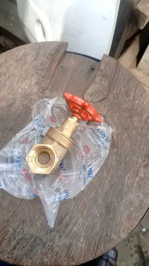3/4 Heavy-Duty Brass Gate Valve
