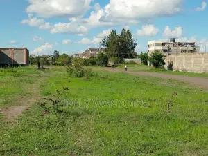 Commercial Plot