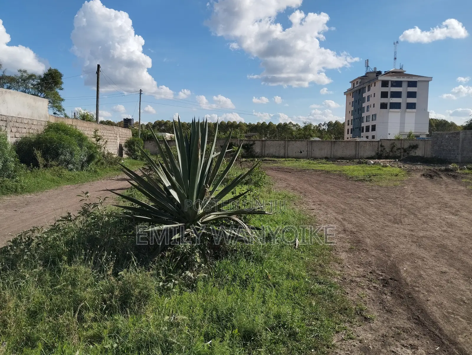 Commercial Plot