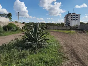 Commercial Plot
