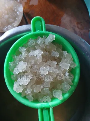 Water Kefir Grains
