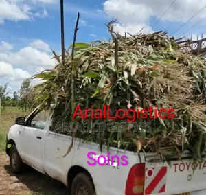 Arial Logistics Transport Solutions