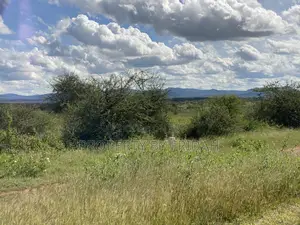 Land for Sale Mashuru,Kajiado