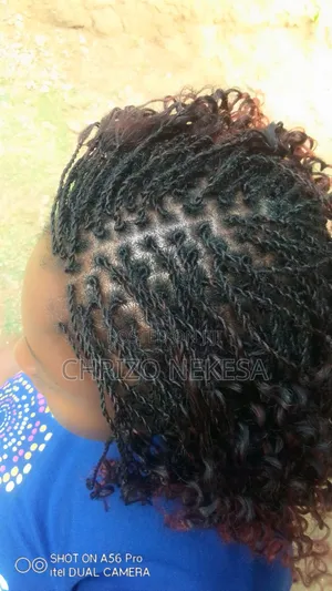 Salonist And Barber