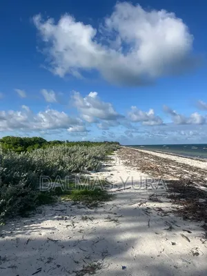 4 Acres Land in Watamu