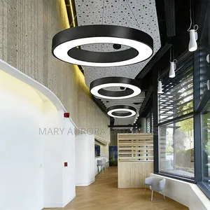Pendant Light/Linear Light