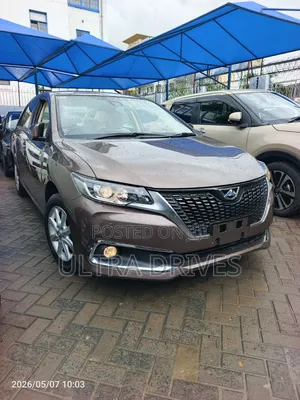 Toyota Allion 2019 Brown