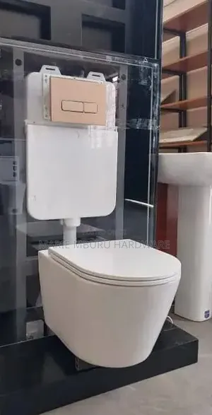 Wall Toilet Seat