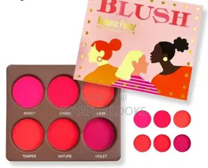 Makeup Blush Palette + Free Setting Spray