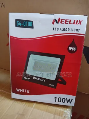 100 Ac Floodlight