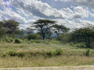 30acres for Sale(Imaroro-Mashuru)