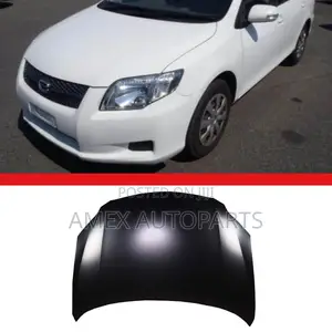 Bonnet Toyota Corolla Axio Fielder 08 (Amex)