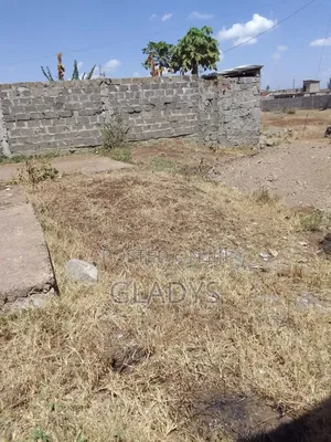 40 by 60 Plot