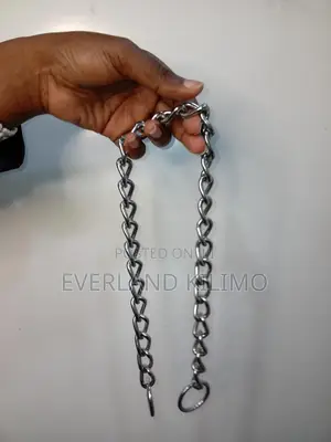 Silver Chain Dog Collar