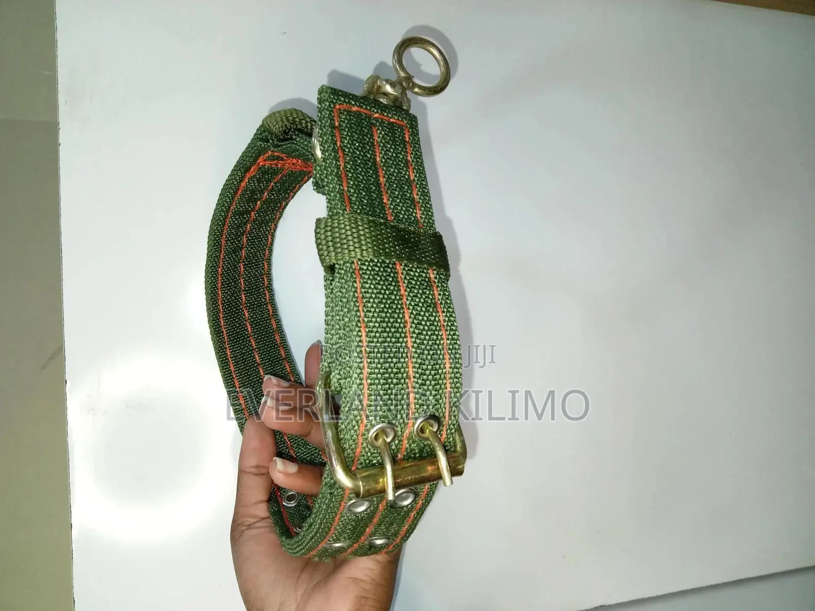 Dog Collar
