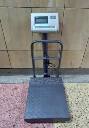 300kg A12 Platform Weighing Scale/A12=300kg Weighing U