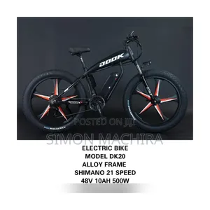 Electric Bike 48v Alloy Frame