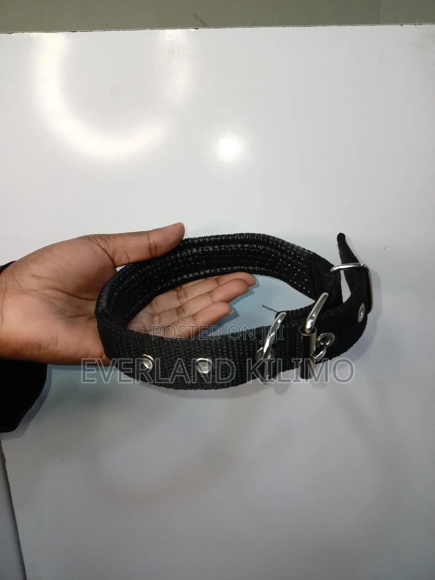 Padded Collar - Adjustable