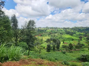 14 Acre Prime Land for Sale in Redhill