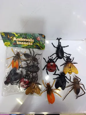 Animal Insects