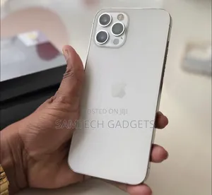 Apple iPhone 12 Pro Max 256 GB Silver