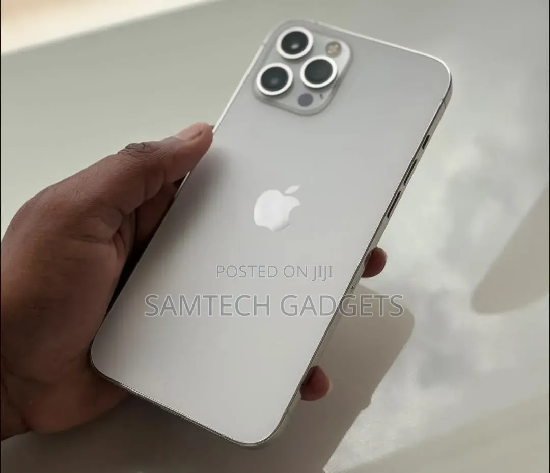 Apple iPhone 12 Pro Max 256 GB Silver