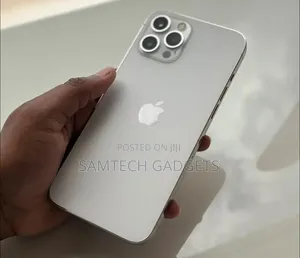 Apple iPhone 12 Pro Max 256 GB Silver