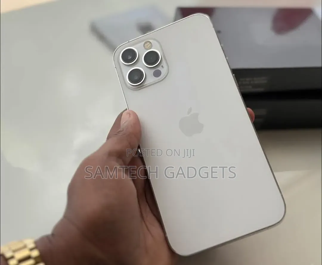 Apple iPhone 12 Pro Max 256 GB Silver