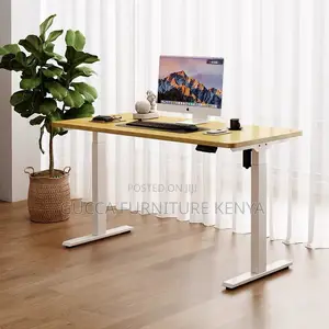 Ergonomic Electric Si Stand Gaming Desk-120cm