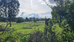 Quick Sale 1 Acrea Near Mt Kenya