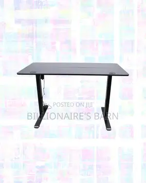 Modernize Your Office -Standing Desk Executive Sit-Stand Comfort